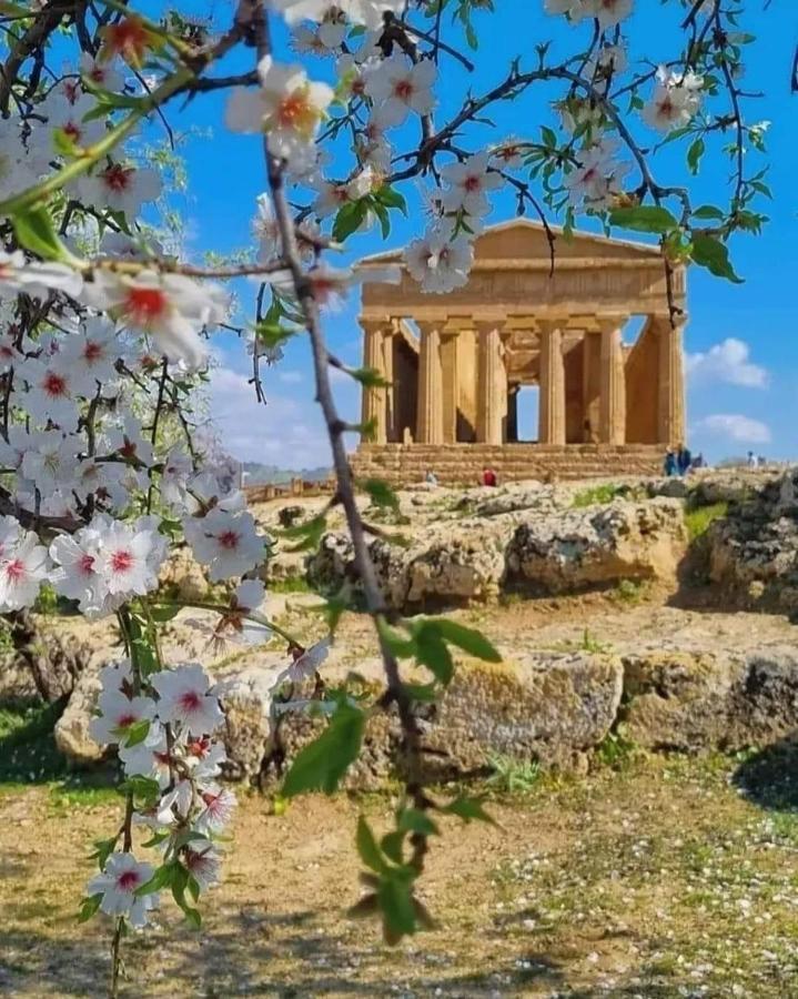 Casa Vacanza Rosariomaria Realmonte Exteriér fotografie